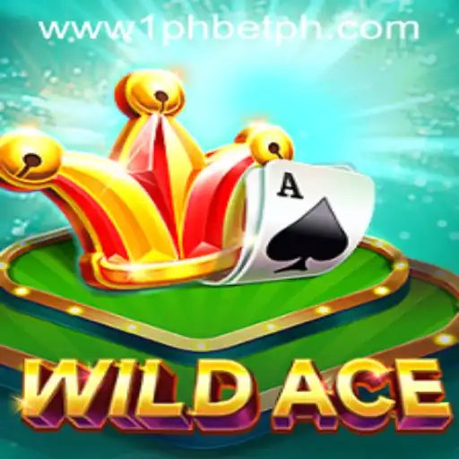 Discover the World of WildAce - A Thrilling Adventure